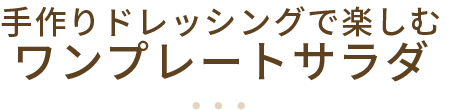 手作りドレッシングで楽しむワンプレートサラダ